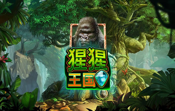 港澳宝典66039最新版本